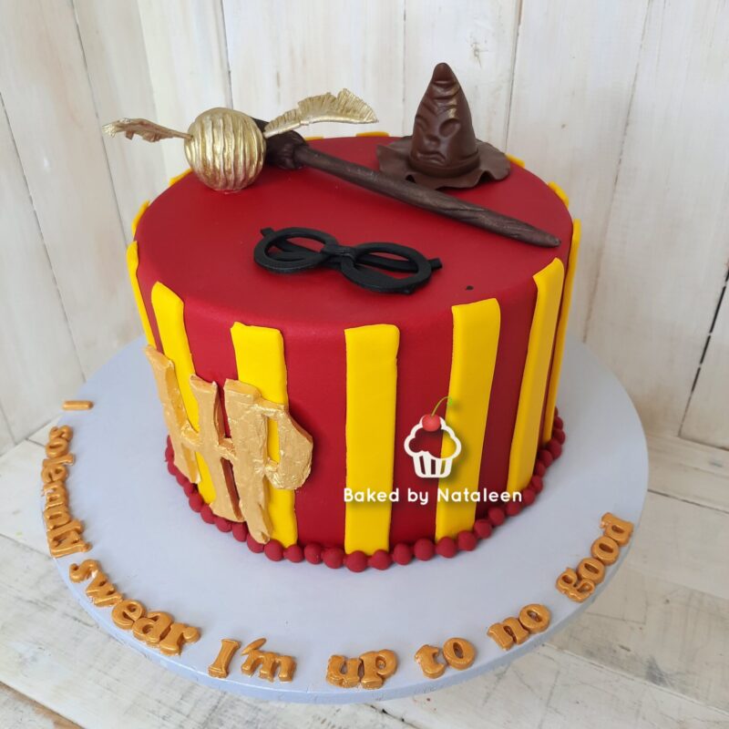 Harry Potter Birthday Cake