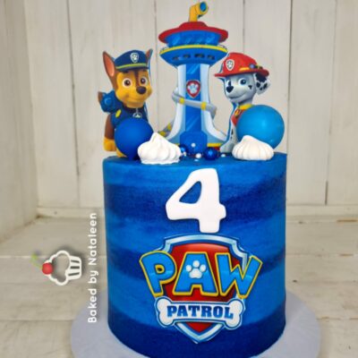 Paw Patrol Lookout Birthday Cake