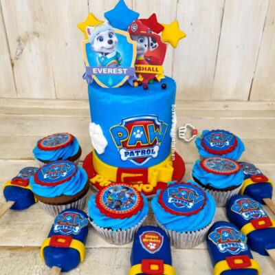 Paw Patrol Birthday Cake Combo