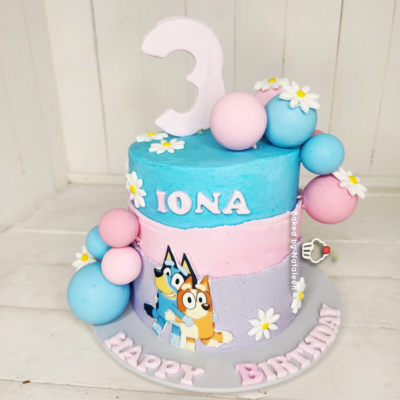 Bluey Themed Birthday Cake - Image 5