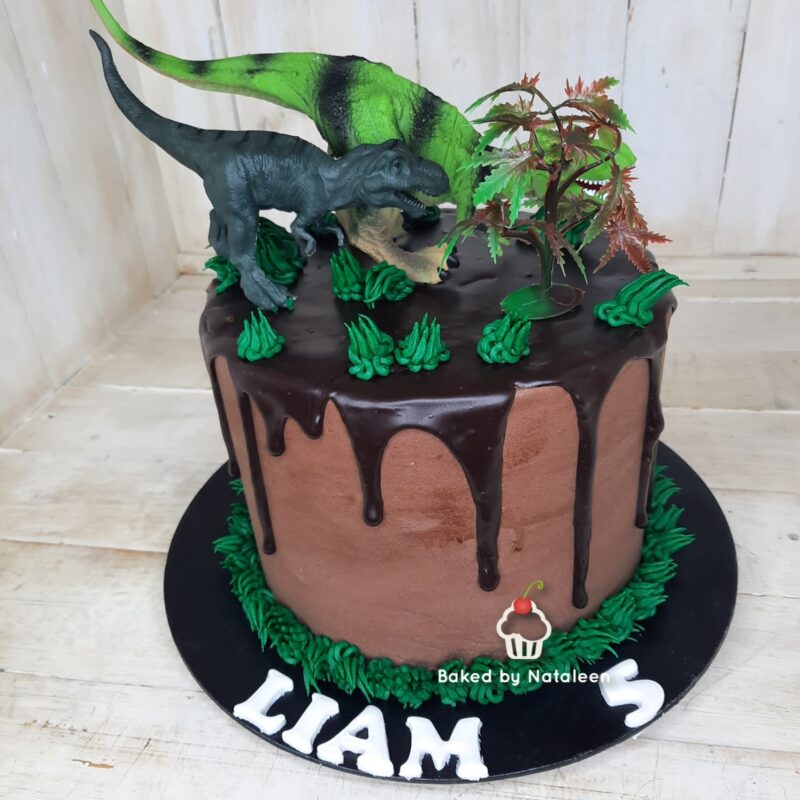 Jurassic Adventure Dinosaur Cake
