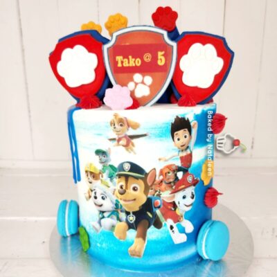 Paw Patrol Birthday Party Cake