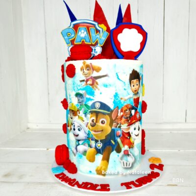 Paw Patrol White and Blue Birthday Cake