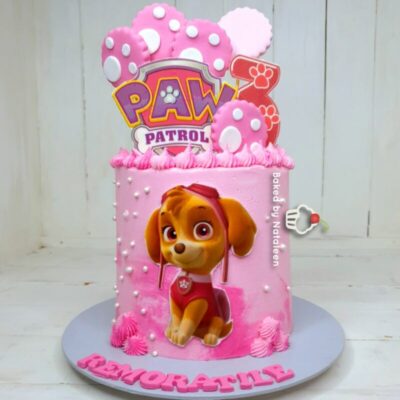 Skye Paw Patrol Birthday Cake