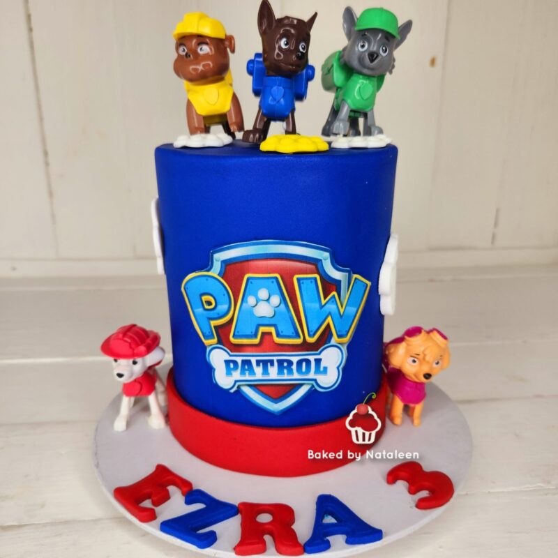 Paw Patrol Figurine Birthday Cake