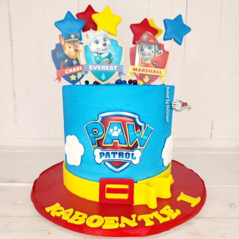 Paw Patrol Party Cake Combo - Image 2